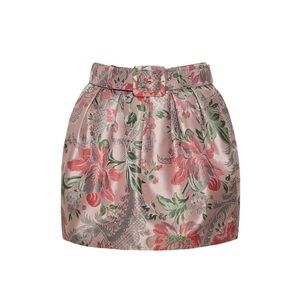 Cara Cara Taryn Skirt NWT